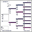 Family Tree