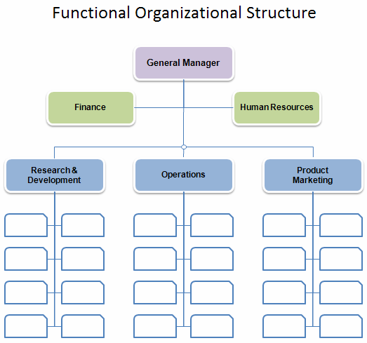 Organizational Charts