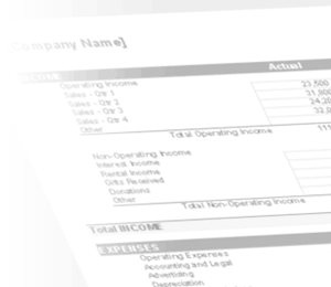 Watermark - Business Budget