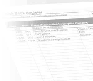 Checkbook For Excel