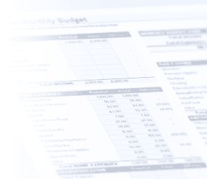 Watermark - Monthly Budget
