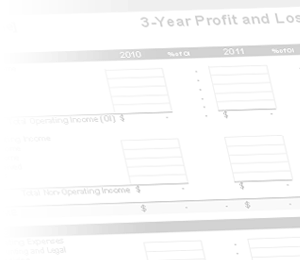 Watermark - Profit and Loss
