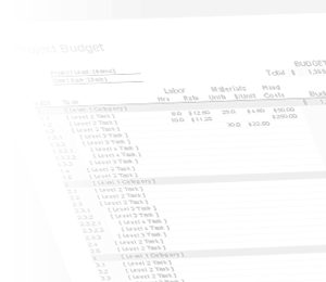 Watermark - Project Budget