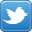 Twitter Profile