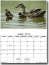 Free Printable Calendars - Landscape Free Printable Calendars - Landscape