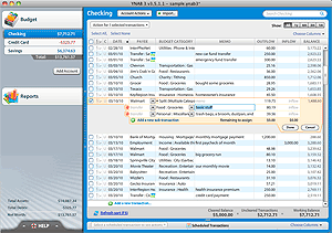 Example of a Split Transaction in YNAB