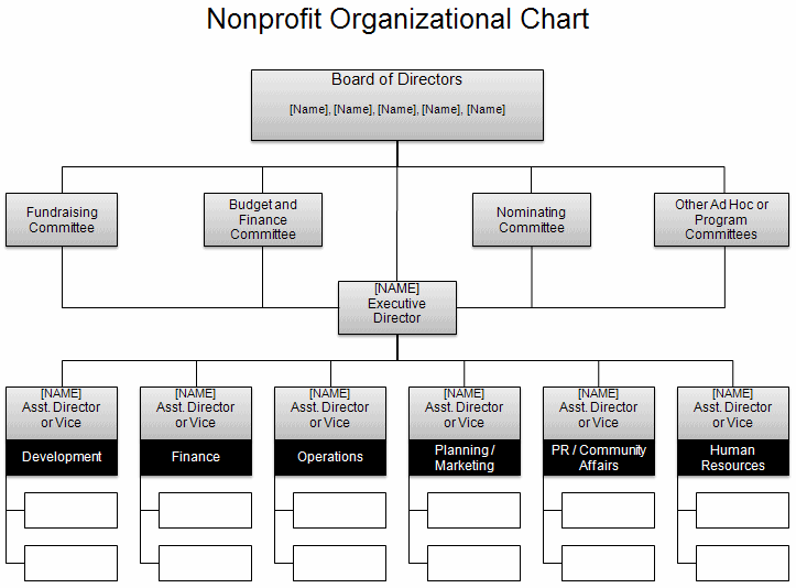 Organizational Flow Chart Excel